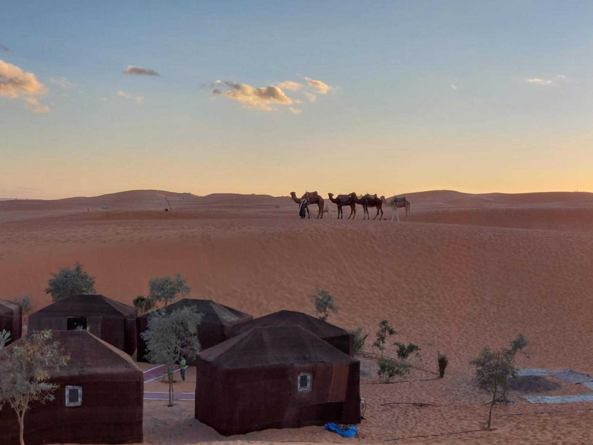 מרזאוגה Hammadi Desert Camp מראה חיצוני תמונה
