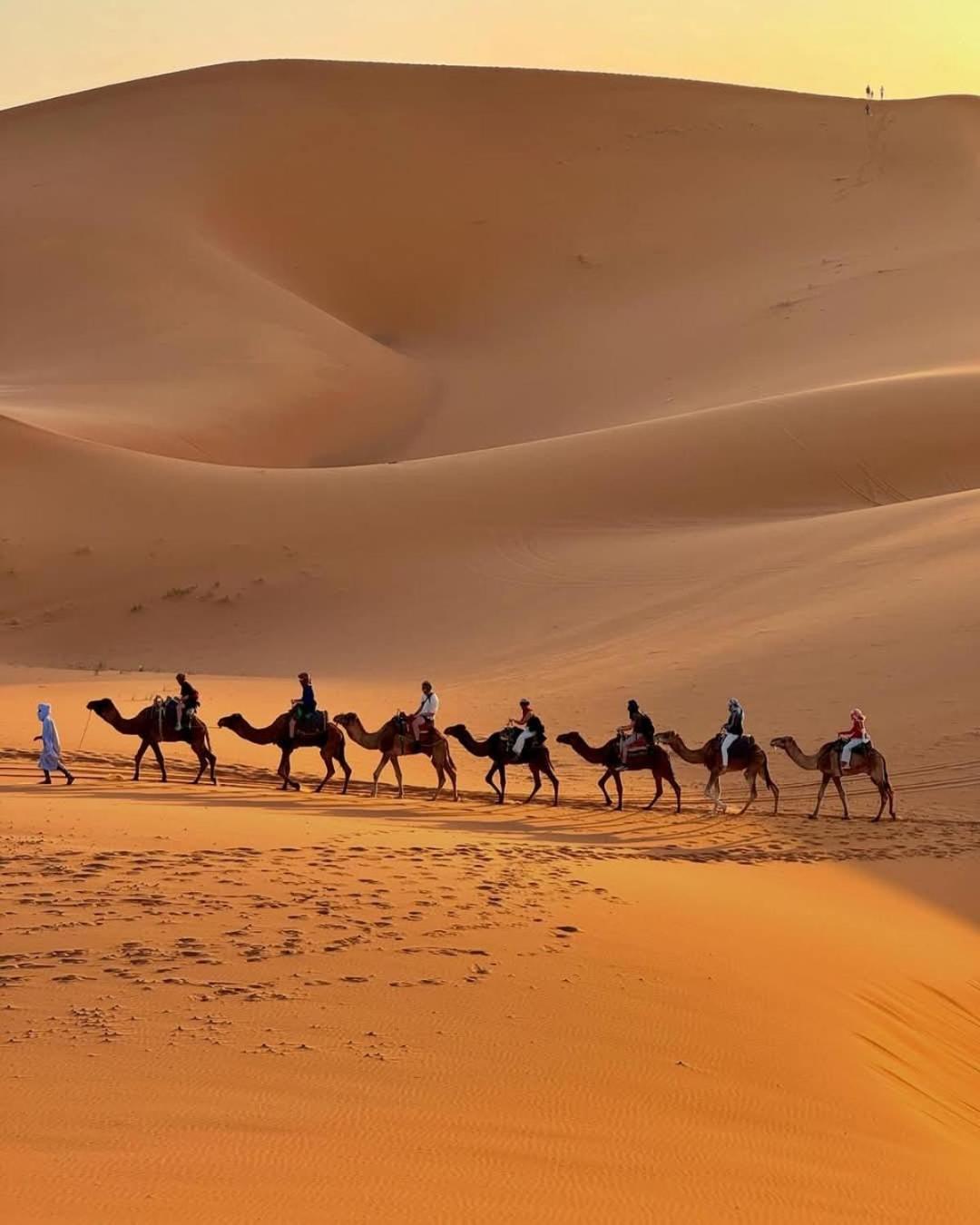 מרזאוגה Hammadi Desert Camp מראה חיצוני תמונה